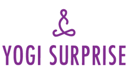 Yogi Surprise affiliate marketing program