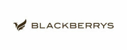 Blackberrys affiliate marketing program