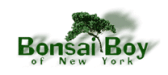 Bonsai Boy of New York affiliate marketing program
