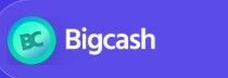 Bigcashweb affiliate marketing program