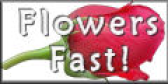 Flowers Fast.com-Send Flowers Same Day Delivery affiliate marketing program
