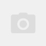 diymoldtest affiliate marketing program