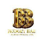 budgetwithbae affiliate marketing program