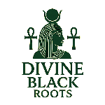 Divine Black Roots affiliate marketing program