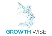 Growth Wise affiliate marketing program