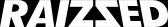 Raizzed affiliate marketing program