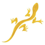 Chaco affiliate marketing program