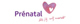 Prenatal affiliate marketing program