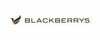 Blackberrys affiliate marketing program